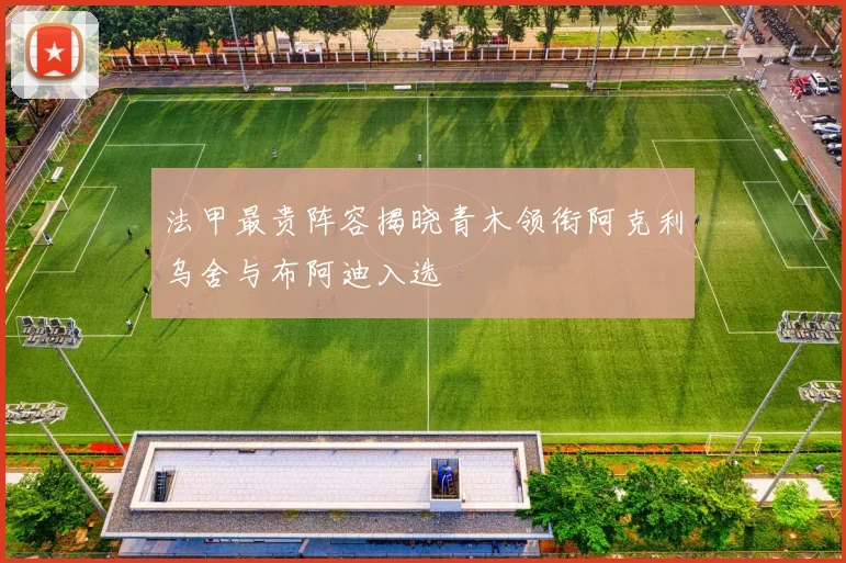 法甲最贵阵容揭晓青木领衔阿克利乌舍与布阿迪入选